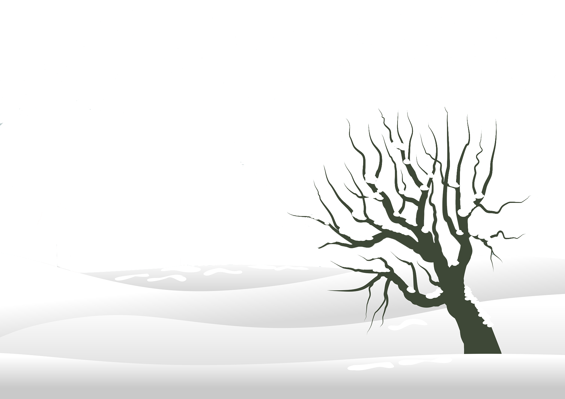 Winter Wonderland Vorne